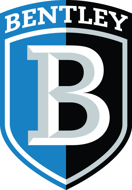 Bentley Falcons 2013-Pres Alternate Logo diy iron on heat transfer